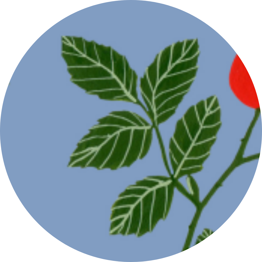 92